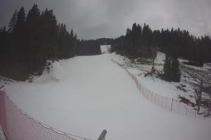 Kamera: Tylicz Ski Widok na stok Tylicz Tylicz Ski Widok na stok