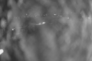 Kamera: Ufo-Ski Ufo-Ski Bukowina Tatrzańska Ufo-Ski Ufo-Ski