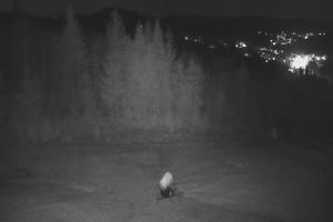 Zwardoń Zwardoń Ski Rachowiec