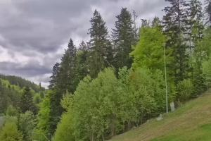 Kamera: Jaworzyna Krynicka Widok ze stacji dolnej kolei gondolowej (648 m n.p.m.) Krynica Jaworzyna Krynicka Widok ze stacji dolnej kolei gondolowej (648 m n.p.m.)