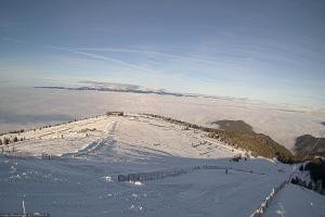 Kamera: Koralpe Steinschneider Koralpe Koralpe Steinschneider