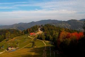 Szczawnica Palenica Szafranówka