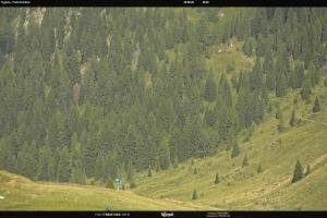 Kamera: S. Martino di Castrozza / Passo Rolle Tognola - Pista Scandola S. Martino di Castrozza / Passo Rolle S. Martino di Castrozza / Passo Rolle Tognola - Pista Scandola