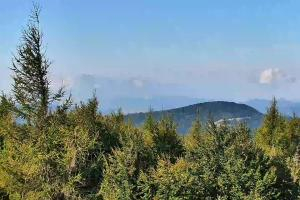 Kamera: Jaworzyna Krynicka Widok na szczyt Jaworzyny (1114 m n.p.m) Krynica Jaworzyna Krynicka Widok na szczyt Jaworzyny (1114 m n.p.m)