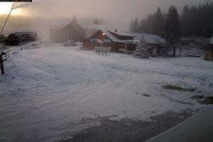 Kamera: Orava Snow Kamera1 Orava Orava Snow Kamera1