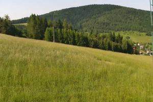 Kamera: Słotwiny Stacja narciarska Krynica Słotwiny Krynica Słotwiny Stacja narciarska Krynica Słotwiny