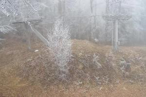 Gorlice-Małastów Magura Małastowska Widok na stok