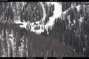 San Martino di Castrozza - Passo Rolle San Martino di Castrozza - Passo Rolle Ces - Malga Valcigolera
