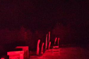 Kamera: Jaworzyna Krynicka Widok na szczyt Jaworzyny (1114 m n.p.m) Krynica Jaworzyna Krynicka Widok na szczyt Jaworzyny (1114 m n.p.m)