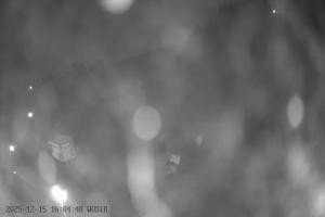 Szelment Szelment WOSiR Wyciąg