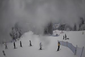 Kamera: Dwie Doliny Polanki Wierchomla-Muszyna Dwie Doliny Polanki