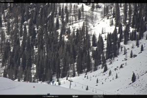 S. Martino di Castrozza / Passo Rolle S. Martino di Castrozza / Passo Rolle Tognola - Pista Scandola