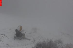 Kamera: Černá hora (Czarna Góra) Hofmanky, 1050 m n.p.m. Černá hora Černá hora (Czarna Góra) Hofmanky, 1050 m n.p.m.