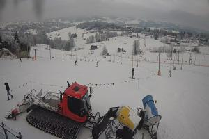 Bukowina Tatrzańska Olczański Wierch Zwyrtlik