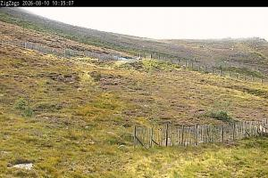 Kamera: Cairgorm Zigzags Webcam Cairgorm Cairgorm Zigzags Webcam