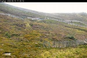 Kamera: Cairgorm Zigzags Webcam Cairgorm Cairgorm Zigzags Webcam