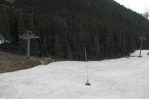 Zverovka Tatrawest s.r.o. Livecam