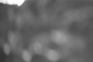 Ischgl Ischgl Greitspitz