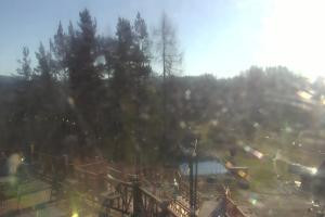 Kamera: Palenica Widok na stok Szczawnica Palenica Widok na stok