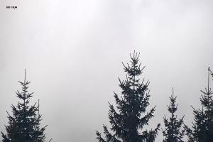 Kamera: Ski&Sun Ski & Sun - Świeradów - widok na bar Świeradów Zdrój Ski&Sun Ski & Sun - Świeradów - widok na bar