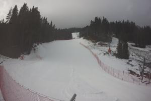 Kamera: Tylicz Ski Widok na stok Tylicz Tylicz Ski Widok na stok