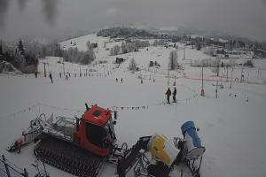 Bukowina Tatrzańska Zwyrtlik Widok na stok