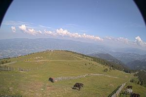 Kamera: Koralpe Steinschneider Koralpe Koralpe Steinschneider