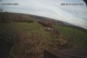 Kamera: Bobliwo Kamera na stoku Stok Roztocze Bobliwo Kamera na stoku