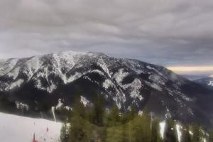 Kamera: Jasna - Chopok Kosodrevina - 1.488 m n.m. Jasna Jasna - Chopok Kosodrevina - 1.488 m n.m.