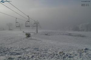 Rejdice Rejdice Livecam