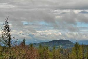 Kamera: Jaworzyna Krynicka Widok na szczyt Jaworzyny (1114 m n.p.m) Krynica Jaworzyna Krynicka Widok na szczyt Jaworzyny (1114 m n.p.m)