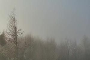 Kamera: Jaworzyna Krynicka Widok na szczyt Jaworzyny (1114 m n.p.m) Krynica Jaworzyna Krynicka Widok na szczyt Jaworzyny (1114 m n.p.m)