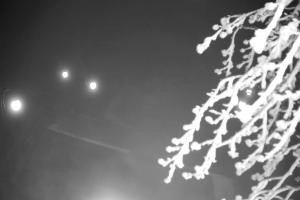 Gorlice-Małastów Magura Małastowska Widok na stok