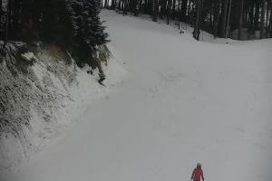 Cieniawa Cieniawa Ski Widok na stok