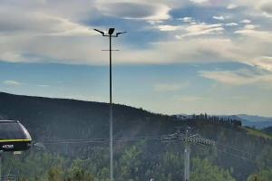 Szczyrk Szczyrk Mountain Resort Hala Skrzyczeńska – 1000 m n.p.m.