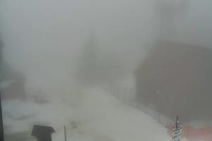 Krynica Jaworzyna Krynicka Widok na szczyt Jaworzyny (1114 m n.p.m)