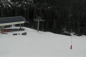 Zverovka Tatrawest s.r.o. Livecam