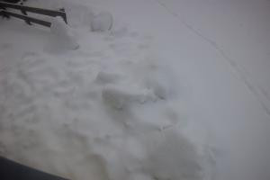 Rodelbahn Rodelbahn - Katschberg 