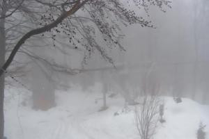 Kamera: Magura Małastowska Widok na stok Gorlice-Małastów Magura Małastowska Widok na stok