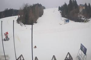 Ustrzyki Dolne Gromadzyń Dolna Stacja