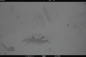 San Martino di Castrozza - Passo Rolle San Martino di Castrozza - Passo Rolle Malga Tognola