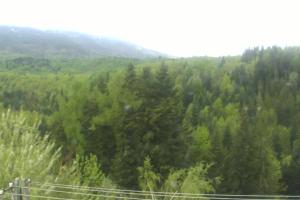 Kamera: Zawoja Ski Stacja dolna Zawoja Zawoja Ski Stacja dolna