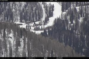 San Martino di Castrozza - Passo Rolle San Martino di Castrozza - Passo Rolle Ces - Malga Valcigolera