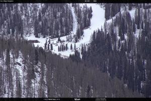 San Martino di Castrozza - Passo Rolle San Martino di Castrozza - Passo Rolle Ces - Malga Valcigolera