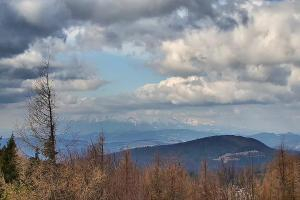 Krynica Jaworzyna Krynicka Widok na szczyt Jaworzyny (1114 m n.p.m)