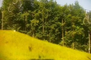 Kamera: Cieńków Widok na stok Wisła Cieńków Widok na stok