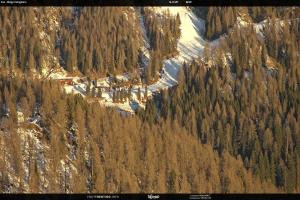 Kamera: San Martino di Castrozza - Passo Rolle Ces - Malga Valcigolera San Martino di Castrozza - Passo Rolle San Martino di Castrozza - Passo Rolle Ces - Malga Valcigolera