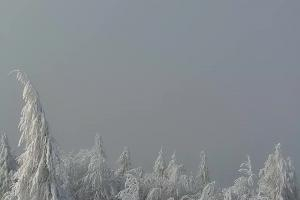 Kamera: Jaworzyna Krynicka Widok na szczyt Jaworzyny (1114 m n.p.m) Krynica Jaworzyna Krynicka Widok na szczyt Jaworzyny (1114 m n.p.m)