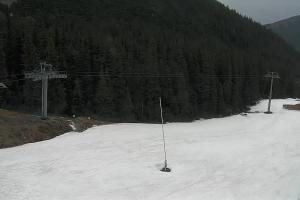 Zverovka Tatrawest s.r.o. Livecam