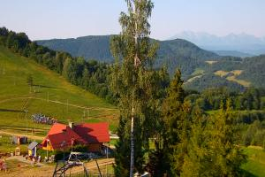 Kamera: Palenica Widok na stok Szczawnica Palenica Widok na stok